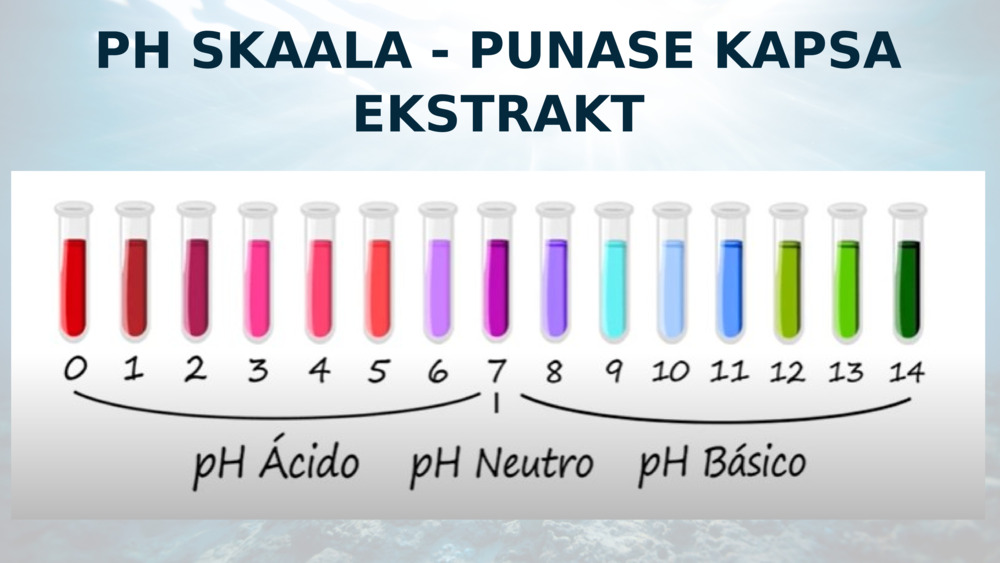 PH SKAALA - PUNASE KAPSA EKSTRAKT
