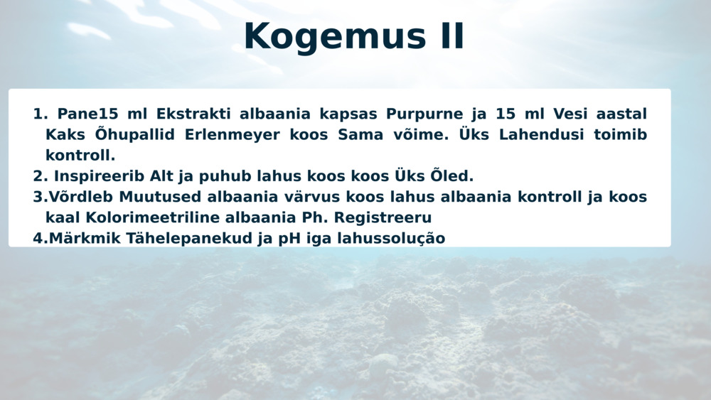 Kogemus II