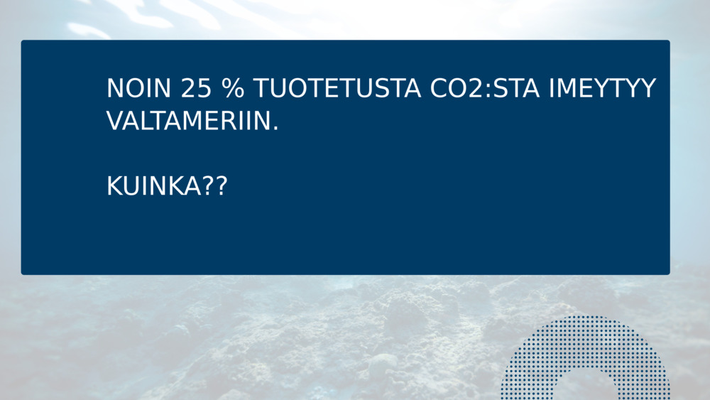NOIN 25 % TUOTETUSTA CO2:STA IMEYTYY VALTAMERIIN.