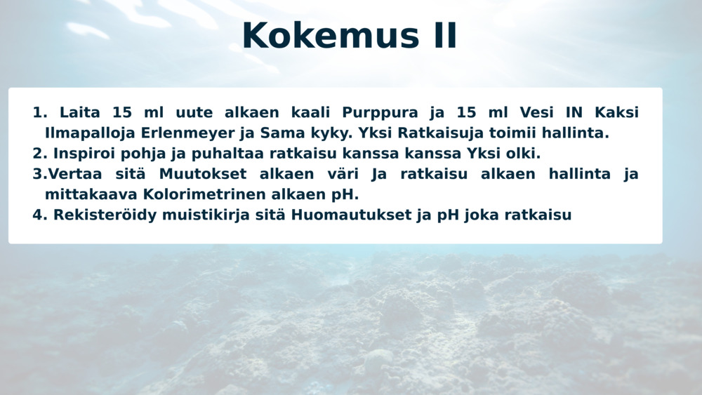 Kokemus II
