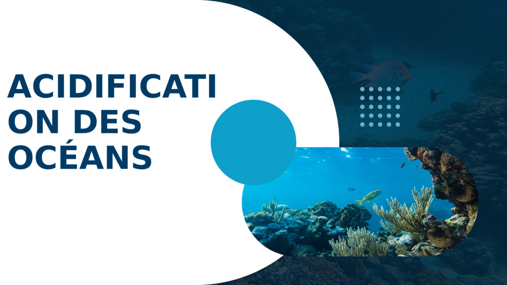 ACIDIFICATION DES OCÉANS