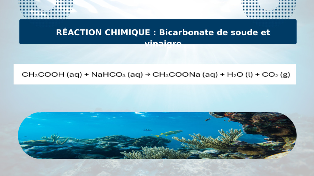 RÉACTION CHIMIQUE : Bicarbonate de soude et vinaigre