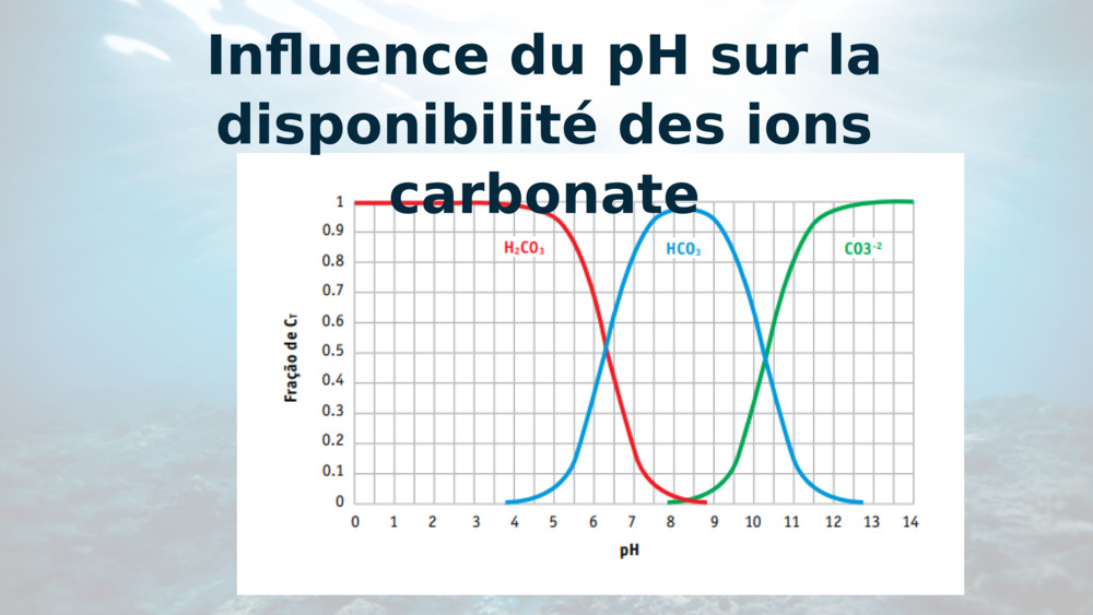 Influence du pH sur la disponibilité des ions carbonate