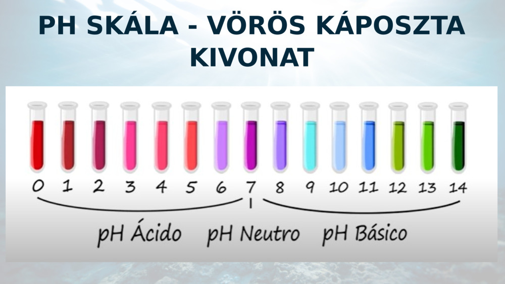 PH SKÁLA - VÖRÖS KÁPOSZTA KIVONAT