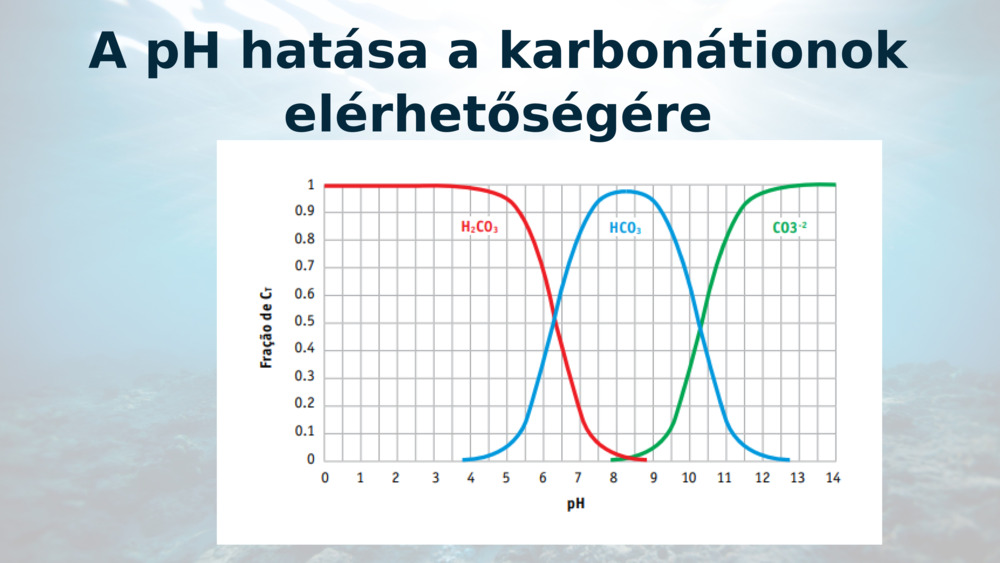 A pH hatása a karbonátionok elérhetőségére