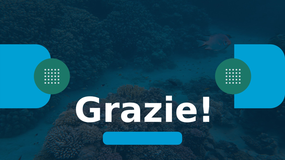 Grazie!