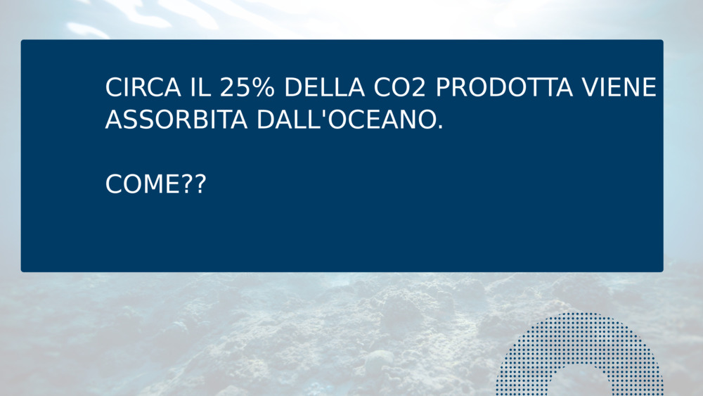 CIRCA IL 25% DELLA CO2 PRODOTTA VIENE ASSORBITA DALL'OCEANO.