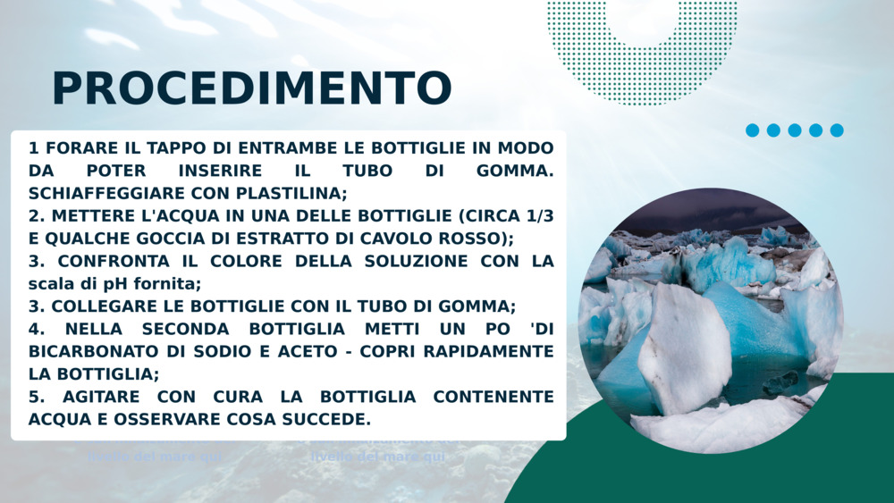 PROCEDIMENTO