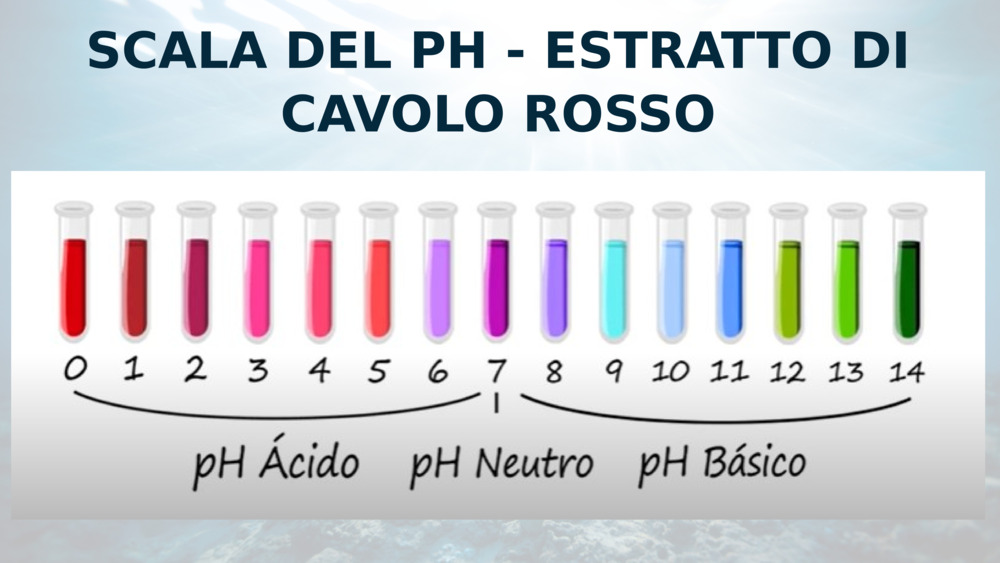 SCALA DEL PH - ESTRATTO DI CAVOLO ROSSO