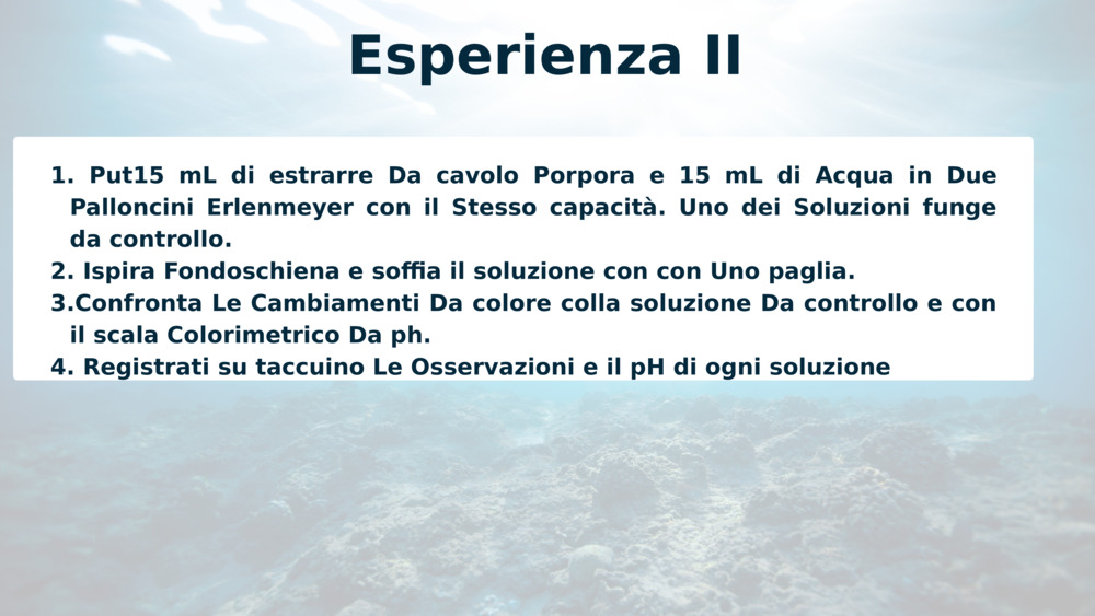Esperienza II