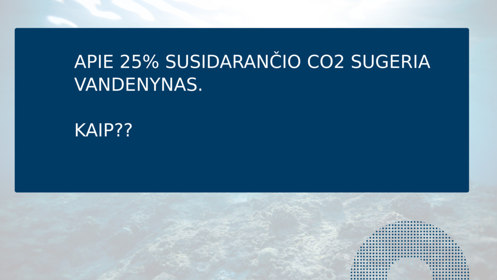 APIE 25% SUSIDARANČIO CO2 SUGERIA VANDENYNAS.