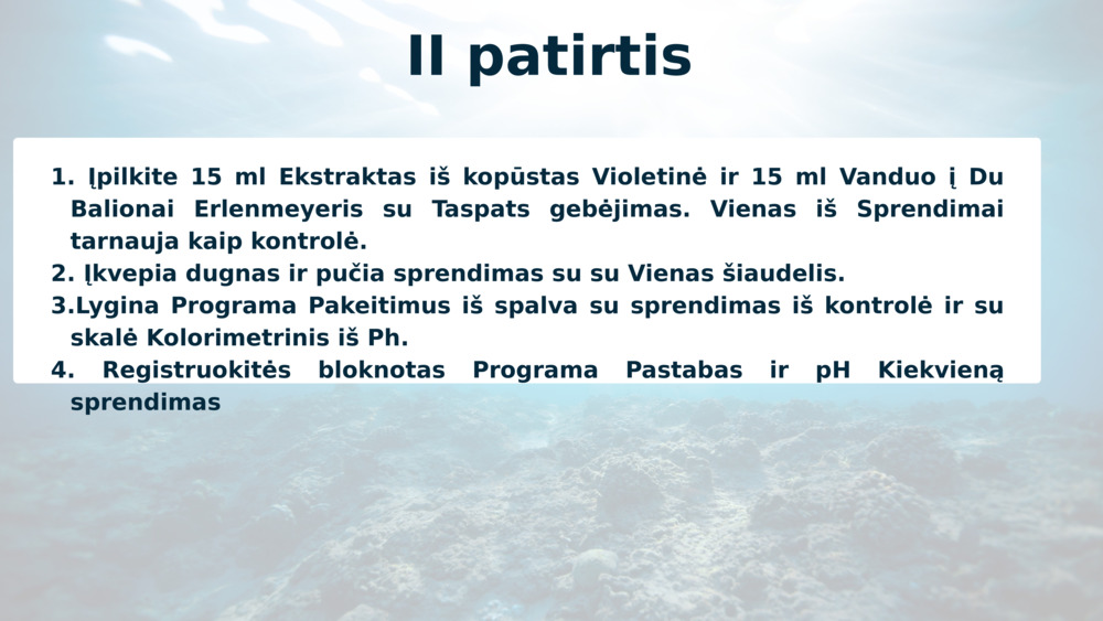 II patirtis