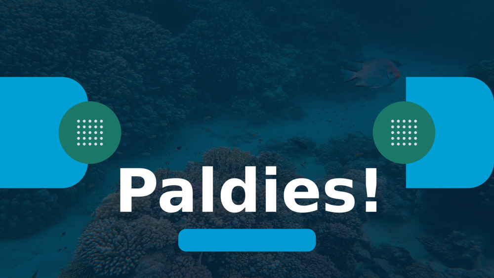Paldies!