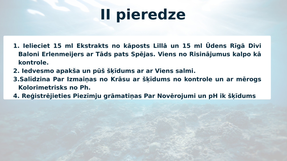 II pieredze