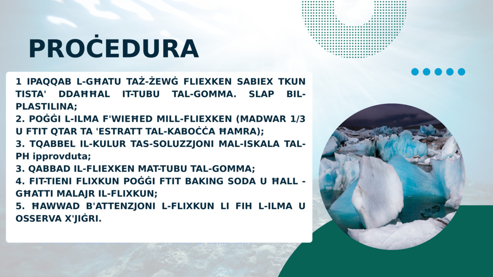 PROĊEDURA