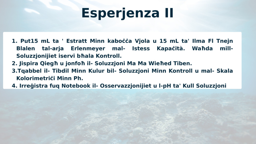 Esperjenza II