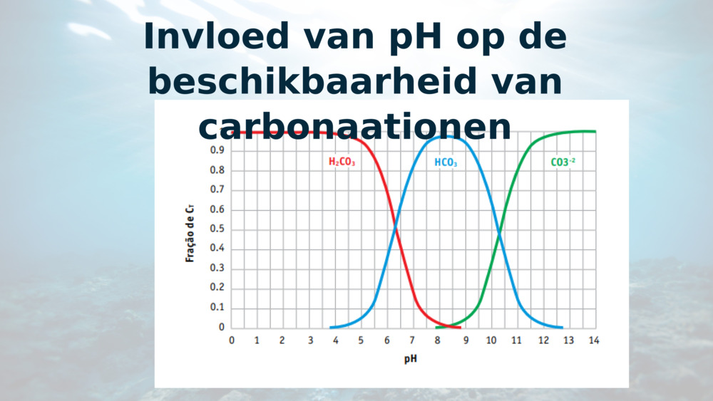 Invloed van pH op de beschikbaarheid van carbonaationen