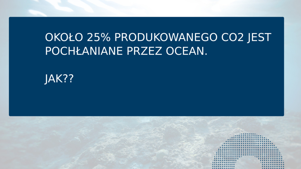 OKOŁO 25% PRODUKOWANEGO CO2 JEST POCHŁANIANE PRZEZ OCEAN.