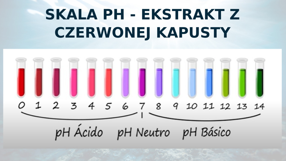 SKALA PH - EKSTRAKT Z CZERWONEJ KAPUSTY