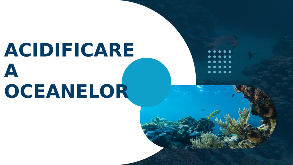 ACIDIFICAREA OCEANELOR