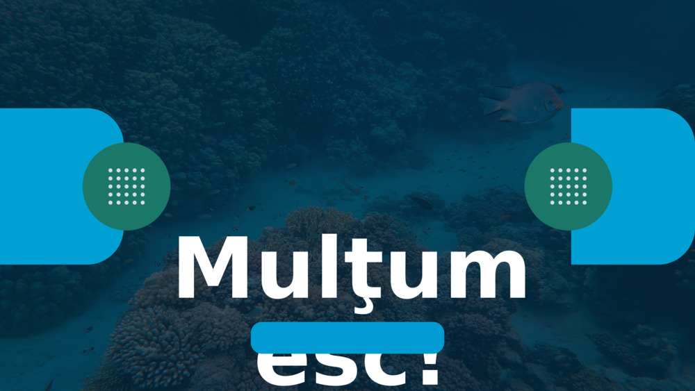 Mulţumesc!