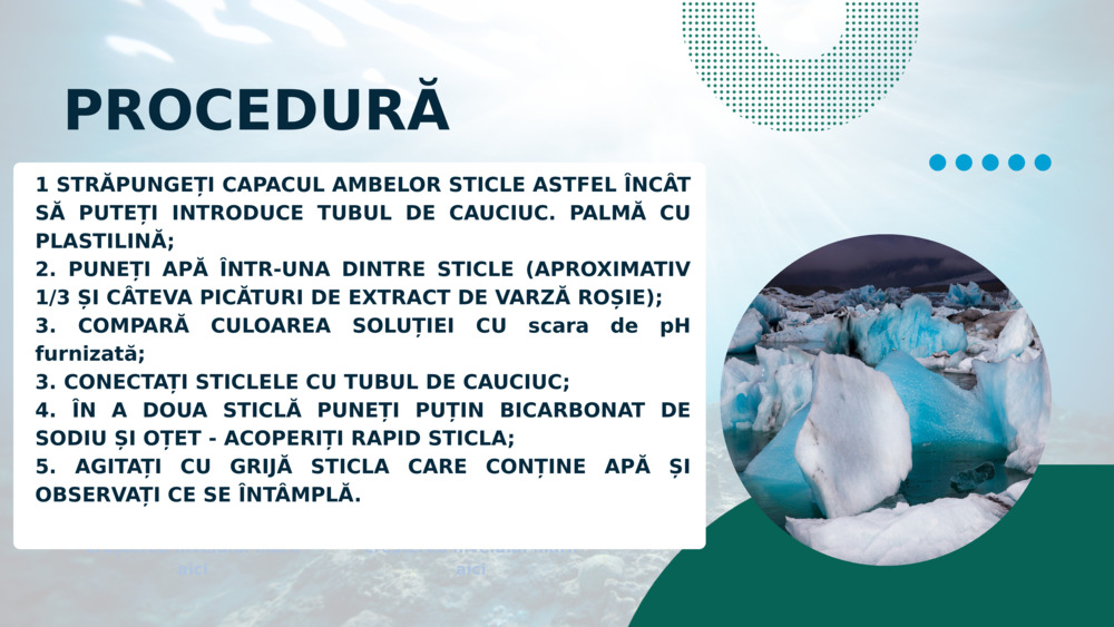 PROCEDURĂ