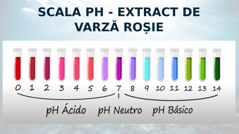 SCALA PH - EXTRACT DE VARZĂ ROȘIE