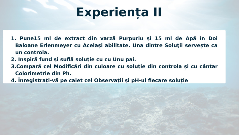 Experiența II