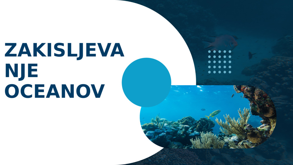 Zakisljevanje oceanov