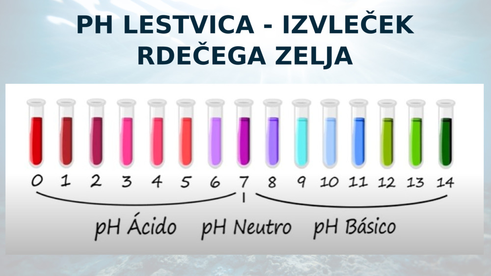 PH LESTVICA - IZVLEČEK RDEČEGA ZELJA