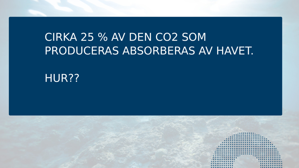 CIRKA 25 % AV DEN CO2 SOM PRODUCERAS ABSORBERAS AV HAVET.