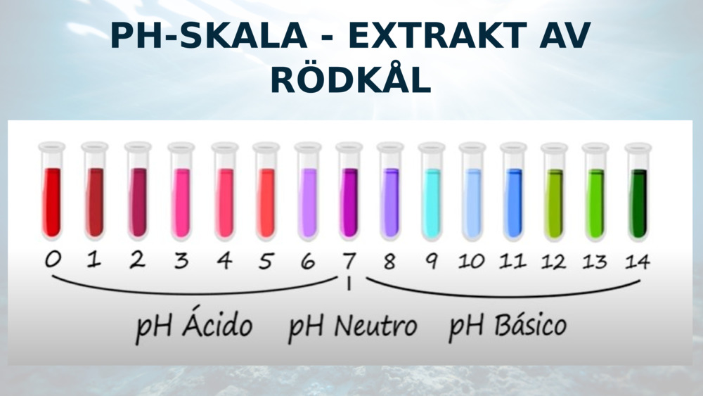 PH-SKALA - EXTRAKT AV RÖDKÅL