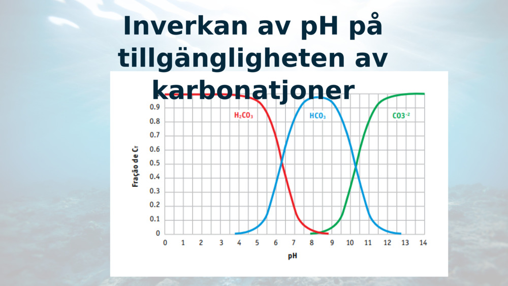 Inverkan av pH på tillgängligheten av karbonatjoner