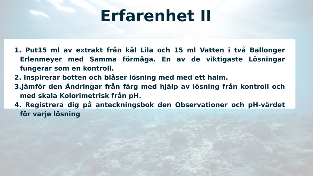 Erfarenhet II