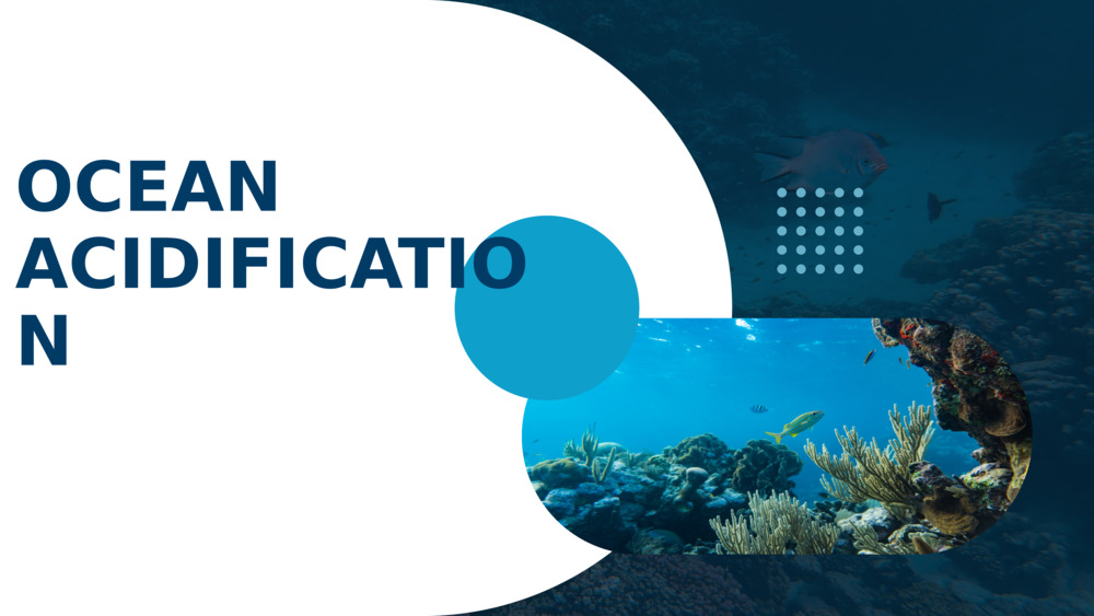 OCEAN ACIDIFICATION