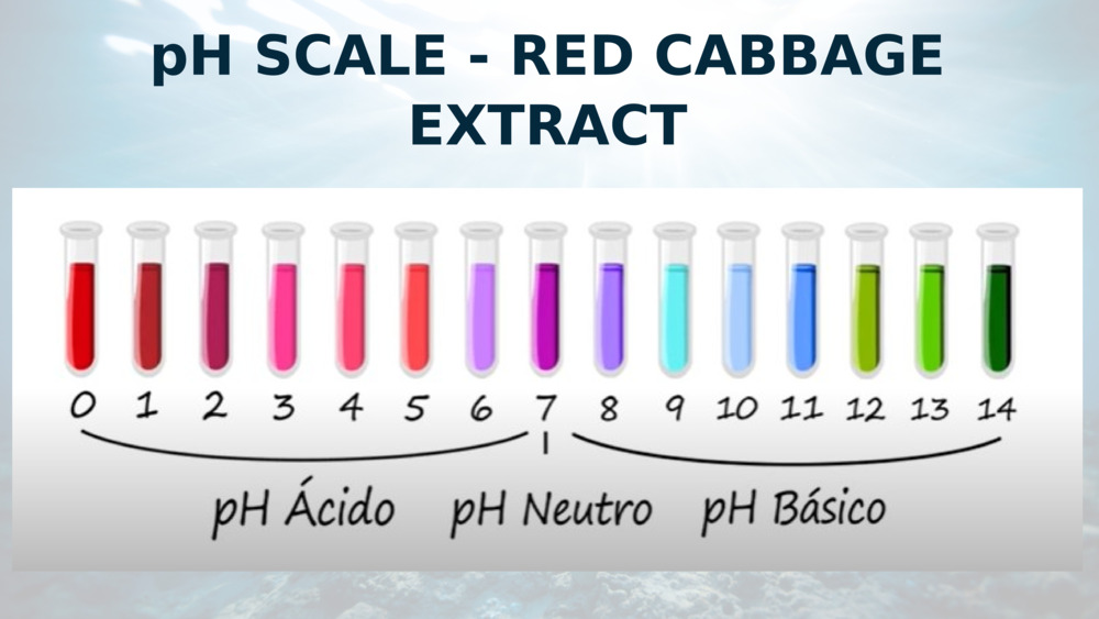 pH SCALE - RED CABBAGE EXTRACT