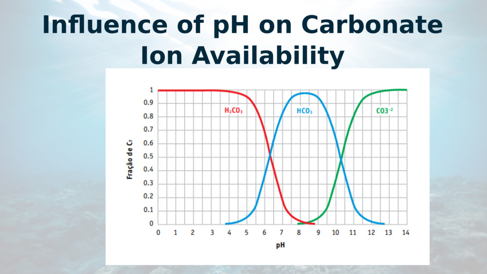 Influence of pH on Carbonate Ion Availability