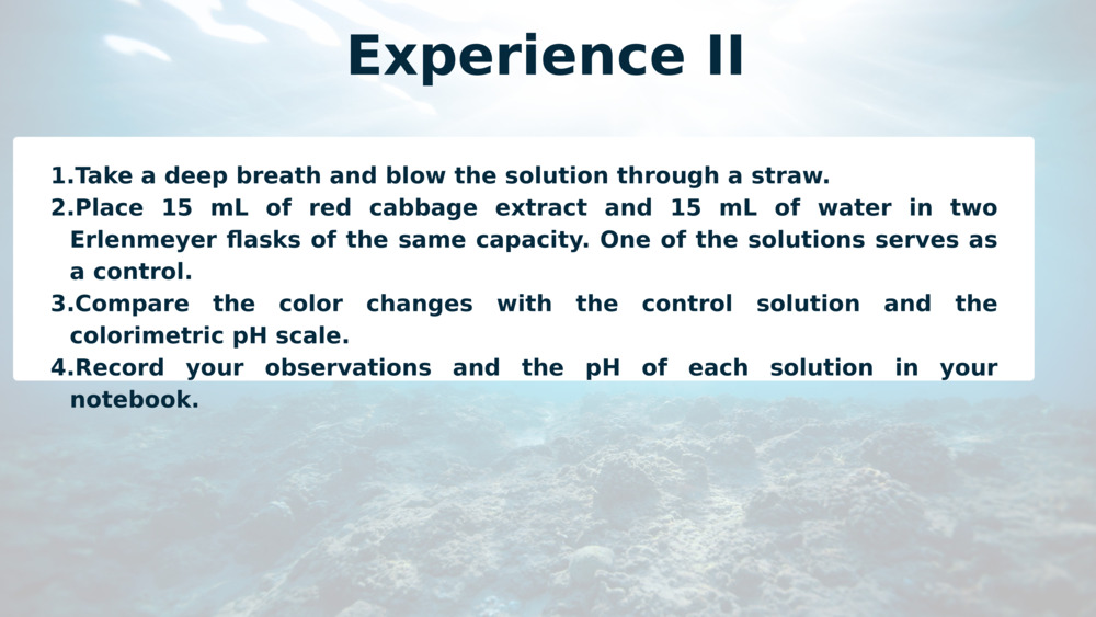 Experience II