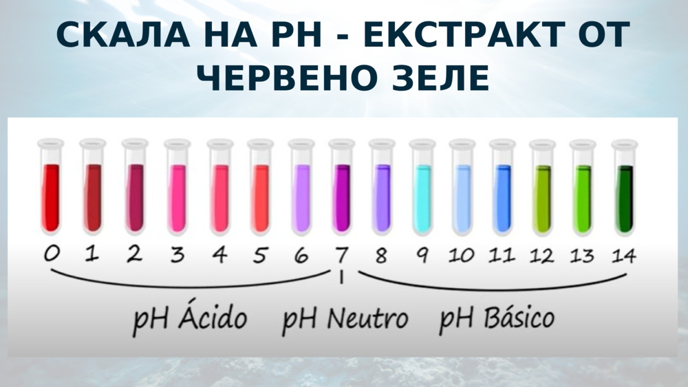 СКАЛА НА PH - ЕКСТРАКТ ОТ ЧЕРВЕНО ЗЕЛЕ