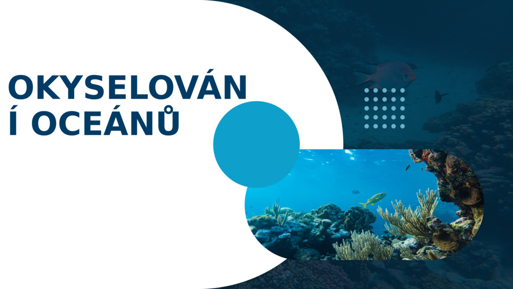 OKYSELOVÁNÍ OCEÁNŮ