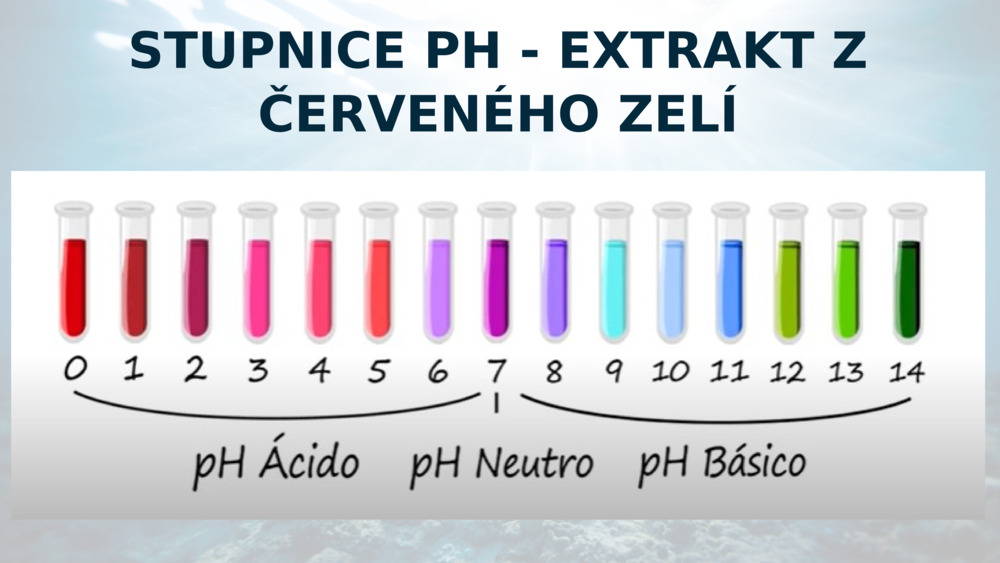 STUPNICE PH - EXTRAKT Z ČERVENÉHO ZELÍ