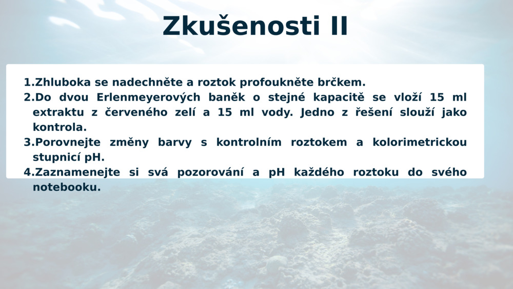 Zkušenosti II