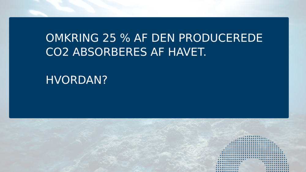 OMKRING 25 % AF DEN PRODUCEREDE CO2 ABSORBERES AF HAVET.