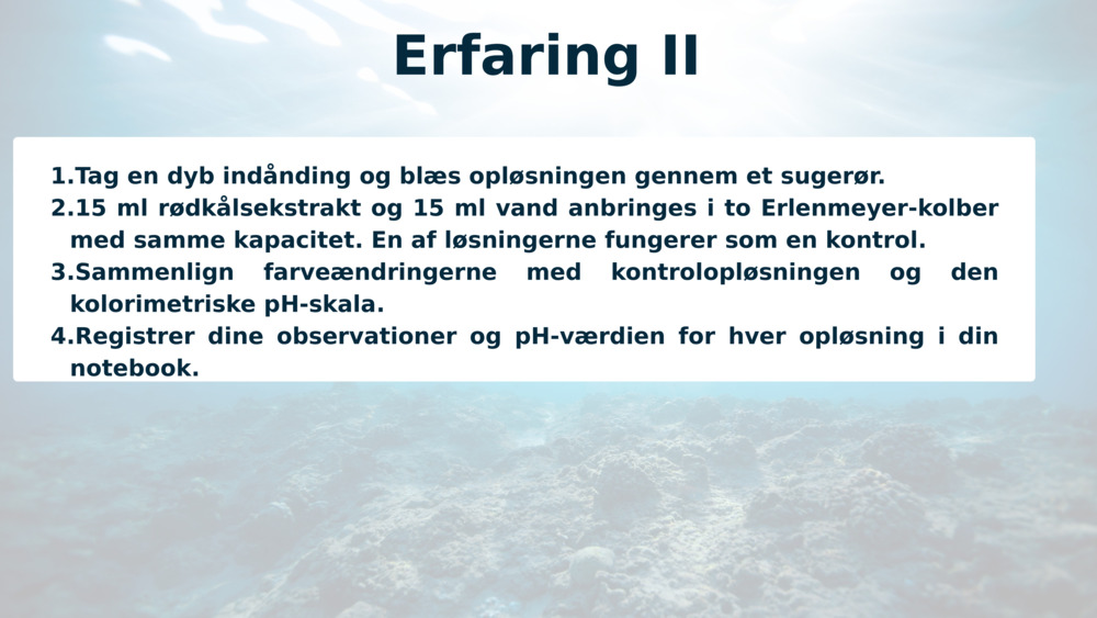 Erfaring II