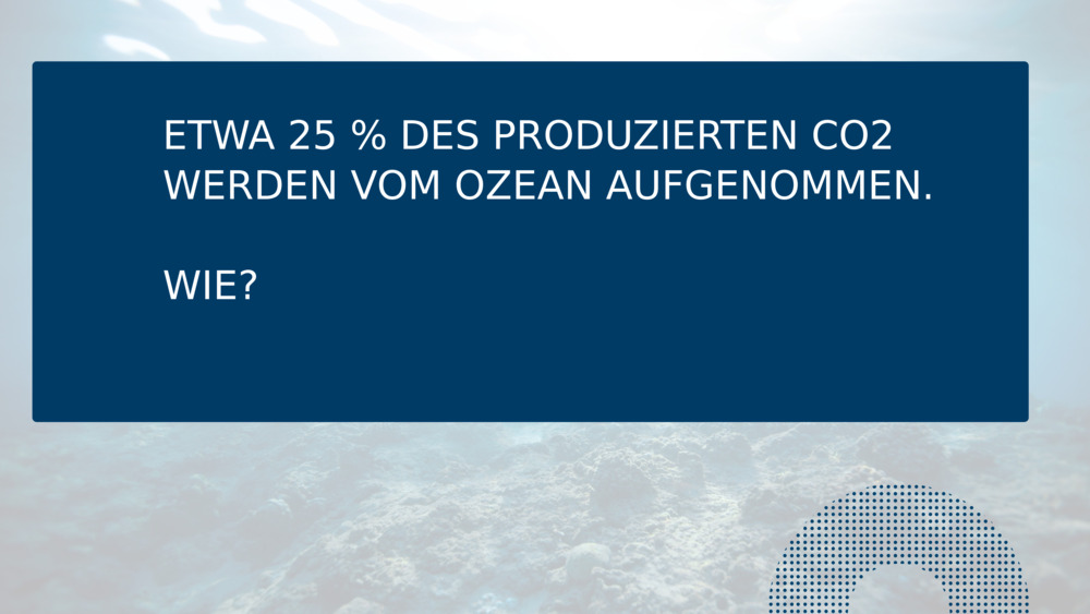 ETWA 25 % DES PRODUZIERTEN CO2 WERDEN VOM OZEAN AUFGENOMMEN.
