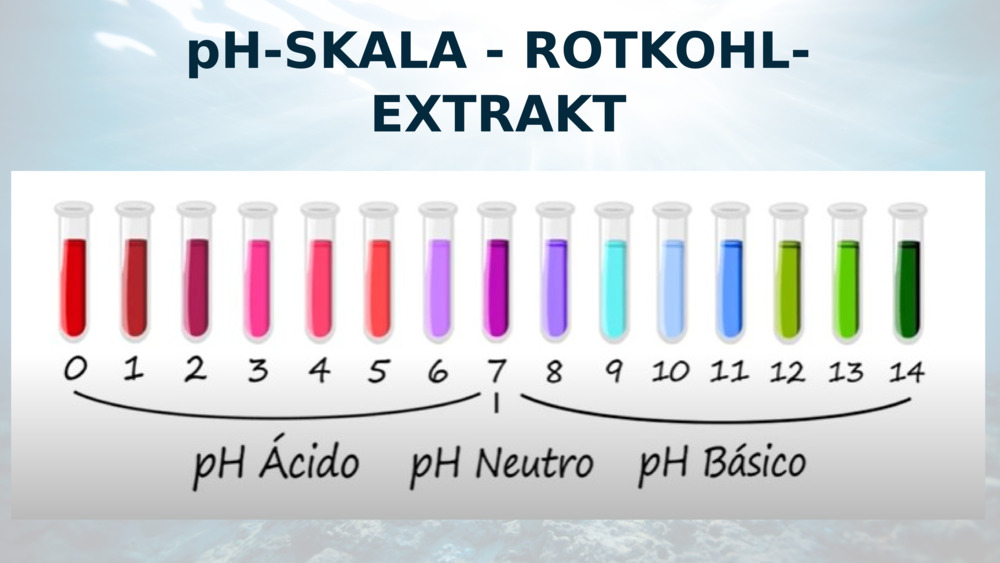 pH-SKALA - ROTKOHL-EXTRAKT