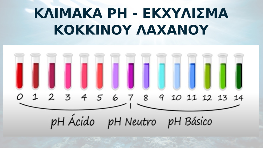 ΚΛΙΜΑΚΑ PH - ΕΚΧΥΛΙΣΜΑ ΚΟΚΚΙΝΟΥ ΛΑΧΑΝΟΥ