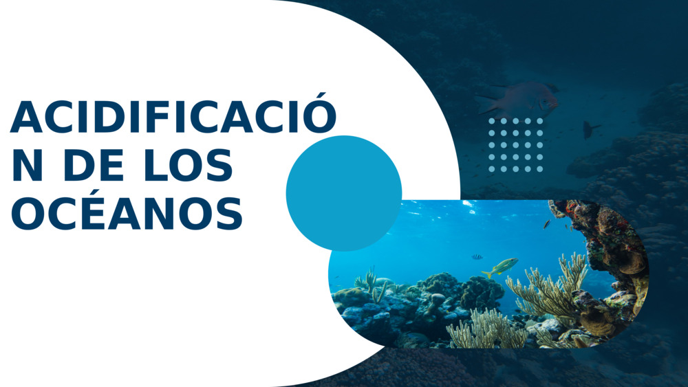 ACIDIFICACIÓN DE LOS OCÉANOS