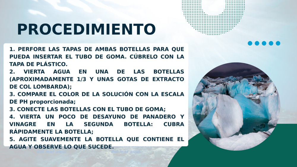PROCEDIMIENTO