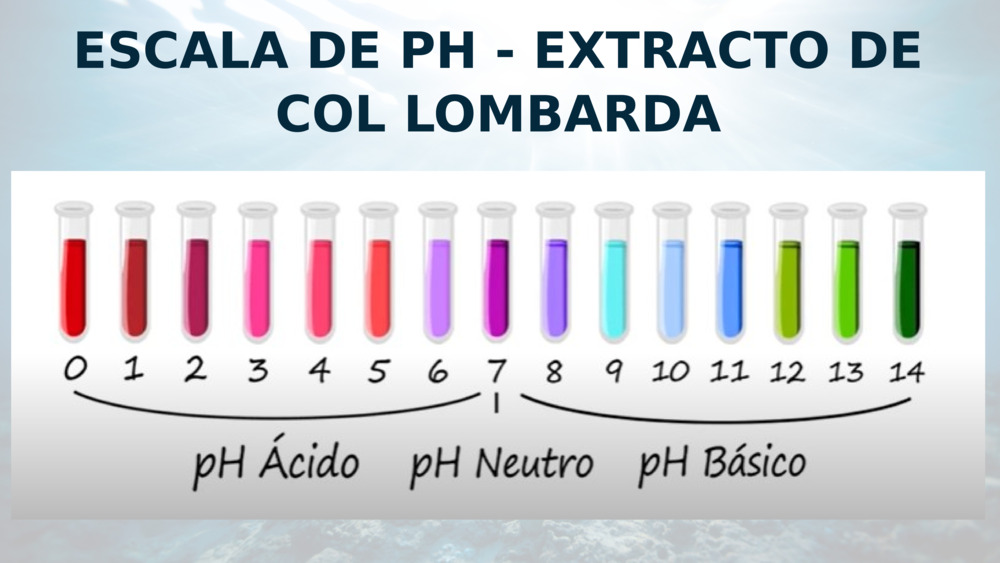 ESCALA DE PH - EXTRACTO DE COL LOMBARDA